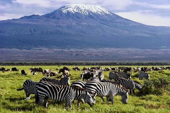 This is the great kilimanjaro.