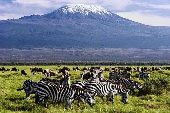 Mount Kilimanjaro